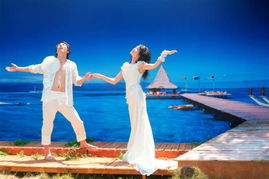 21世紀(jì)婚慶禮儀的商業(yè)服務(wù)供應(yīng) 打造完美婚禮的專業(yè)力量